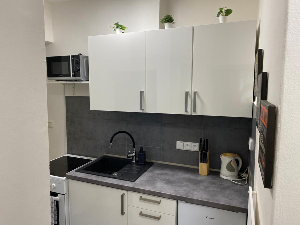 브르노 Downtown Flat Under Spilberk Castle 아파트 외부 사진